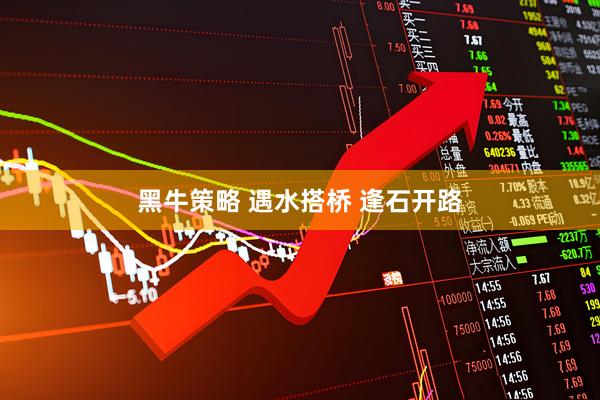 黑牛策略 遇水搭桥 逢石开路