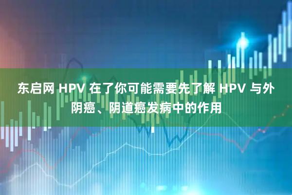 东启网 HPV 在了你可能需要先了解 HPV 与外阴癌、阴道癌发病中的作用