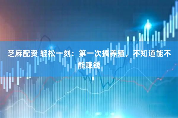 芝麻配资 轻松一刻：第一次搞养殖，不知道能不能赚钱